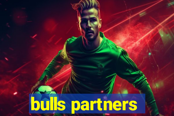 bulls partners